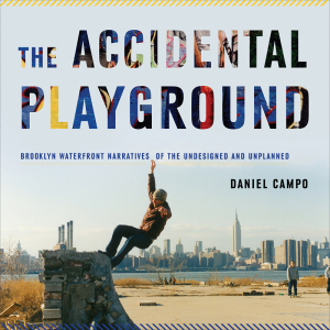 the-accidental-playground-cover